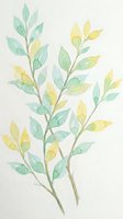 Watercolor botanical branches with green and yellow leaves on white background for spring design projects and natural decoration elements.