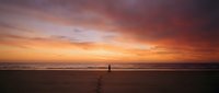 Solitary figure walking on empty beach during dramatic sunset with vibrant orange and purple sky reflecting on wet sand and gentle ocean waves.
