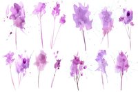 Delicate purple watercolor flowers with splashes and drips on white background, artistic botanical elements for wedding stationery and romantic designs.