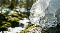Melting ice formations with moss-covered rocks and blurred green foliage in background, depicting spring thaw and natural seasonal transition.