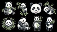 Panda bear characters with bamboo leaves isolated on transparent background, ready for t-shirt design, clipart, stickers, sublimation and print-on-demand products.