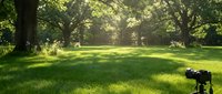 Peaceful park landscape with lush green grass and mature trees creating natural shade patterns in golden sunlight for outdoor recreation and relaxation.
