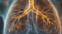 Glowing bronchial tree visualization showing detailed lung anatomy with illuminated airways and blood vessels against dark background for medical education and healthcare.