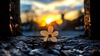 Small delicate flower growing through concrete pavement crack at sunset with warm golden light and urban bokeh background symbolizing hope and resilience.