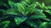 Fresh green leaves covered with morning dew drops in soft focus. Natural macro photography with bokeh effect and water droplets creating magical garden atmosphere.