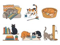 Cats relaxing, playing and lounging in various indoor settings with toys, baskets, scratching posts and furniture for pet care designs.