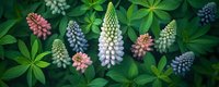 Colorful lupine flowers in pink, blue and white blooming among green foliage create dreamy spring garden panorama, suitable for nature wall art and floral design.