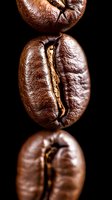 Macro shot of three roasted coffee beans in vertical composition on black background showing detailed texture and natural groove pattern. For cafe marketing.