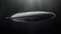 Dramatic black and white macro photograph of a delicate floating feather captured with rim lighting against dark background, showcasing intricate barb details.