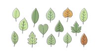 Collection of stylized leaves in various shapes and colors including green and autumn orange, isolated on white background for eco-friendly designs.