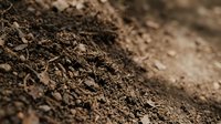 Rich dark brown soil texture with organic matter and small debris scattered across surface for gardening and agriculture projects.