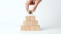 Hand placing wooden cube with paw print on pyramid of blocks, pet care service concept for veterinary clinic branding and animal welfare marketing materials.