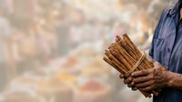 Closeup of male worker hands holding bundle of wooden sticks or bamboo poles on blurred construction site background. Labor and craftsmanship concept.