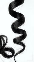 Shiny black curly hair strand isolated on white background, showcasing natural spiral texture for beauty, haircare, and salon design use.