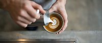 Barista hands creating latte art heart pattern in coffee cup with steamed milk, professional cafe skills demonstration for hospitality training materials.
