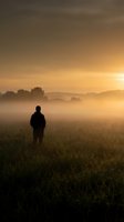 Silhouette of man standing in misty field during golden sunrise with warm atmospheric light and fog rolling across countryside landscape.