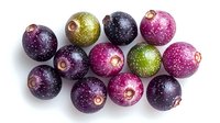 Fresh ripe muscadine grapes with water drops on white background, purple and green varieties showing natural organic texture and vibrant colors.