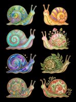Colorful decorative snails with ornate spiral shells and patterned bodies, isolated on transparent background. Ready for t-shirt designs, clipart, stickers, sublimation, print-on-demand products, and digital crafts.