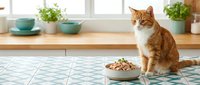 Ginger and white cat sitting beside food bowl on patterned kitchen floor with potted plants on wooden counter, pet feeding time.
