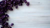 Deep purple orchid flowers creating corner frame on white wooden background, copy space for wedding invitations, spa menus or romantic messages.