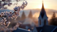 Cherry blossom branch in foreground with church steeple silhouette against golden sunset sky, creating peaceful spring atmosphere in small town setting.