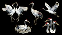Crane birds in various poses isolated on transparent background, ready for t-shirt design, clipart, stickers, sublimation and print-on-demand projects.