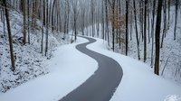 Winding asphalt road curves through snow covered forest with bare trees creating dramatic winter landscape in foggy morning atmosphere.