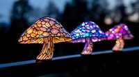 Glowing fantasy mushrooms with stained glass pattern illuminated at night, featuring orange and purple bioluminescent caps against dark background.
