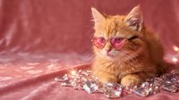 Orange tabby kitten wearing pink heart-shaped sunglasses on sparkly pink background for Valentine's Day greeting cards and romantic pet photography.