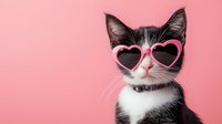 Adorable kitten wearing pink heart-shaped sunglasses on pastel background for Valentine's Day greeting cards and romantic pet photography projects.