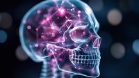 Glowing translucent skull with pink neural network patterns inside on dark background with bokeh lights, representing artificial intelligence and digital consciousness.