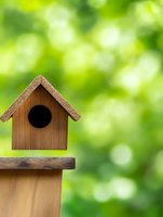 Wooden birdhouse on post against soft green bokeh background, nature and garden concept for spring and summer outdoor decorative elements.