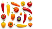 Colorful assortment of fresh peppers including bell peppers, chili peppers, and hot peppers isolated on white background for culinary and cooking designs.