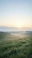Serene rolling hills covered in green grass with morning mist settling in the valley below during sunrise, creating a tranquil rural landscape for nature and wellness projects.