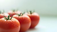 Fresh ripe red tomatoes with green stems and water droplets arranged in row on white surface against soft blurred background for healthy cooking.
