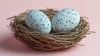 Two speckled blue eggs nestled in natural twigs nest against soft pink background, creating serene spring composition for seasonal and nature designs.