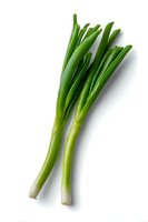 Fresh green spring onions isolated on white background, raw organic scallions with stems for cooking and garnish. Ready for design use.