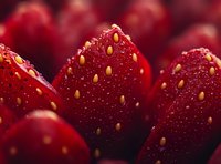 Extreme close-up of fresh strawberries with visible yellow seeds and textured red surface, showcasing natural food details for culinary and healthy eating concepts.