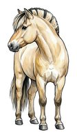 Palomino horse with dark mane and tail standing in profile, isolated on white background. Hand-drawn watercolor style artwork suitable for equestrian designs, t-shirts, and clipart applications.