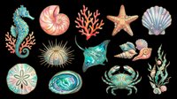 Colorful ocean creatures clipart set isolated on transparent background, featuring seahorse, shells, coral, starfish, crab, and stingray for t-shirts and print on demand.