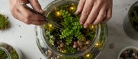 Hands arranging miniature plants and fairy lights inside a glass jar terrarium, creating a cozy green indoor garden on a white surface.