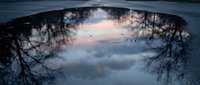 Serene winter landscape reflected in frozen water with bare trees framing sky and clouds, suitable for nature and seasonal backgrounds.