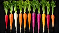Fresh colorful rainbow carrots with green tops arranged in row on black background, organic healthy vegetables for farm market and cooking.