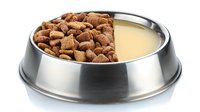Stainless steel pet bowl with dry kibble and water, divided into two sections for convenient feeding of dogs or cats.