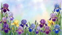 Colorful iris flowers in purple, blue, and yellow blooms with green stems arranged in a garden border against a soft watercolor background, suitable for spring designs and floral projects.