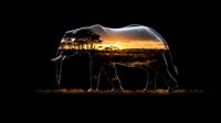 Silhouette of elephant with double exposure effect showing African savanna sunset landscape with acacia trees and golden sky inside elephant's profile.