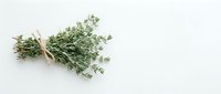 Fresh thyme herb bundle tied with natural twine on white background, aromatic culinary ingredient for cooking and seasoning dishes.