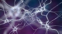 Neural network connections with glowing synapses and dendrites in purple gradient background for medical education and neuroscience research presentations.