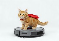 Orange tabby cat wearing red cape standing on robotic vacuum cleaner against white background, isolated for design use on merchandise, clipart, and promotional materials.