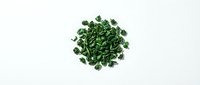 Chopped fresh green parsley isolated on white background, ready for culinary design, food packaging, and recipe illustrations.